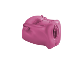 Diaphragma model  - diaphragma modell pink