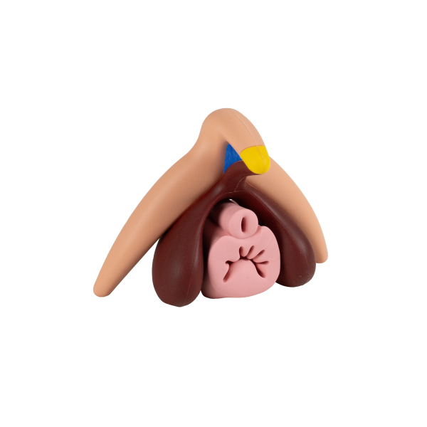 Clitoris Modell 2 zu 1