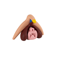 Clitoris Plus  - Clitoris Modell 2 zu 1