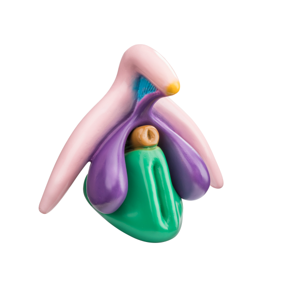 clitoris plus modell