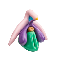 Clitoris Plus  - clitoris plus modell