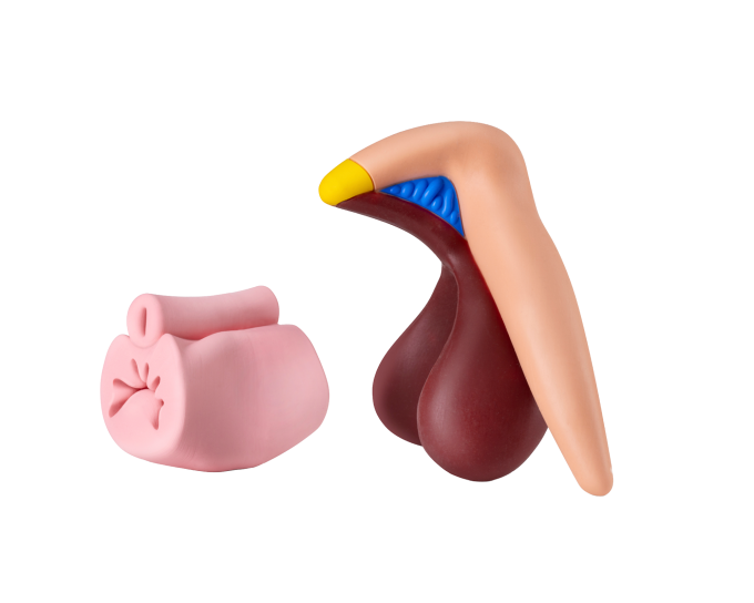 clitoris plus seitlich