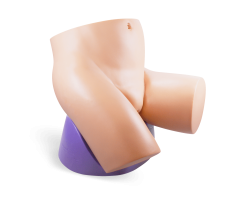 Vagiwell ® Pelvic model  - vagiwell beckenmodell